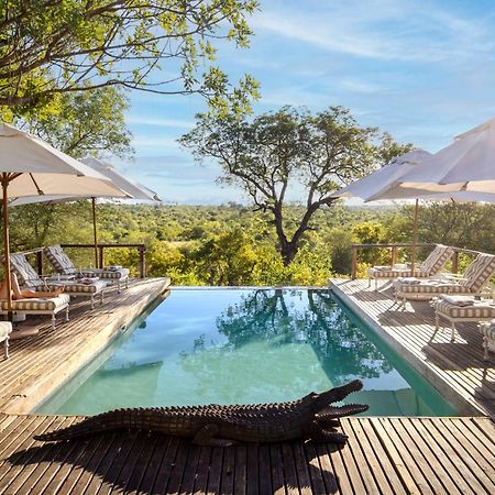 Simbavati Hilltop Lodge Timbavati Game Reserve Eksteriør bilde