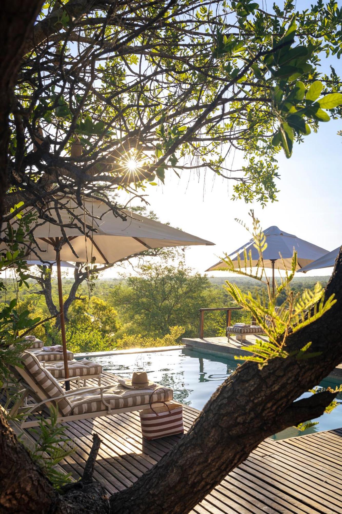 Simbavati Hilltop Lodge Timbavati Game Reserve Eksteriør bilde