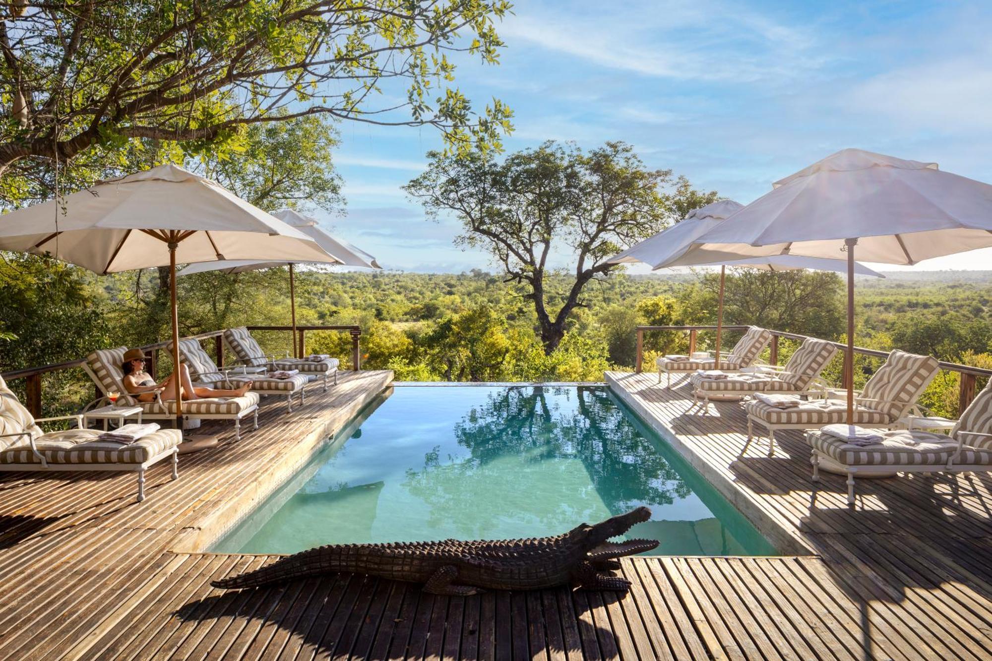 Simbavati Hilltop Lodge Timbavati Game Reserve Eksteriør bilde