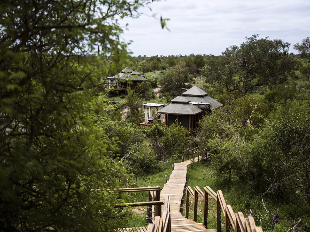 Simbavati Hilltop Lodge Timbavati Game Reserve Eksteriør bilde