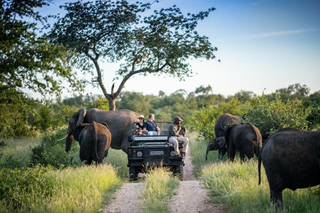 Simbavati Hilltop Lodge Timbavati Game Reserve Eksteriør bilde