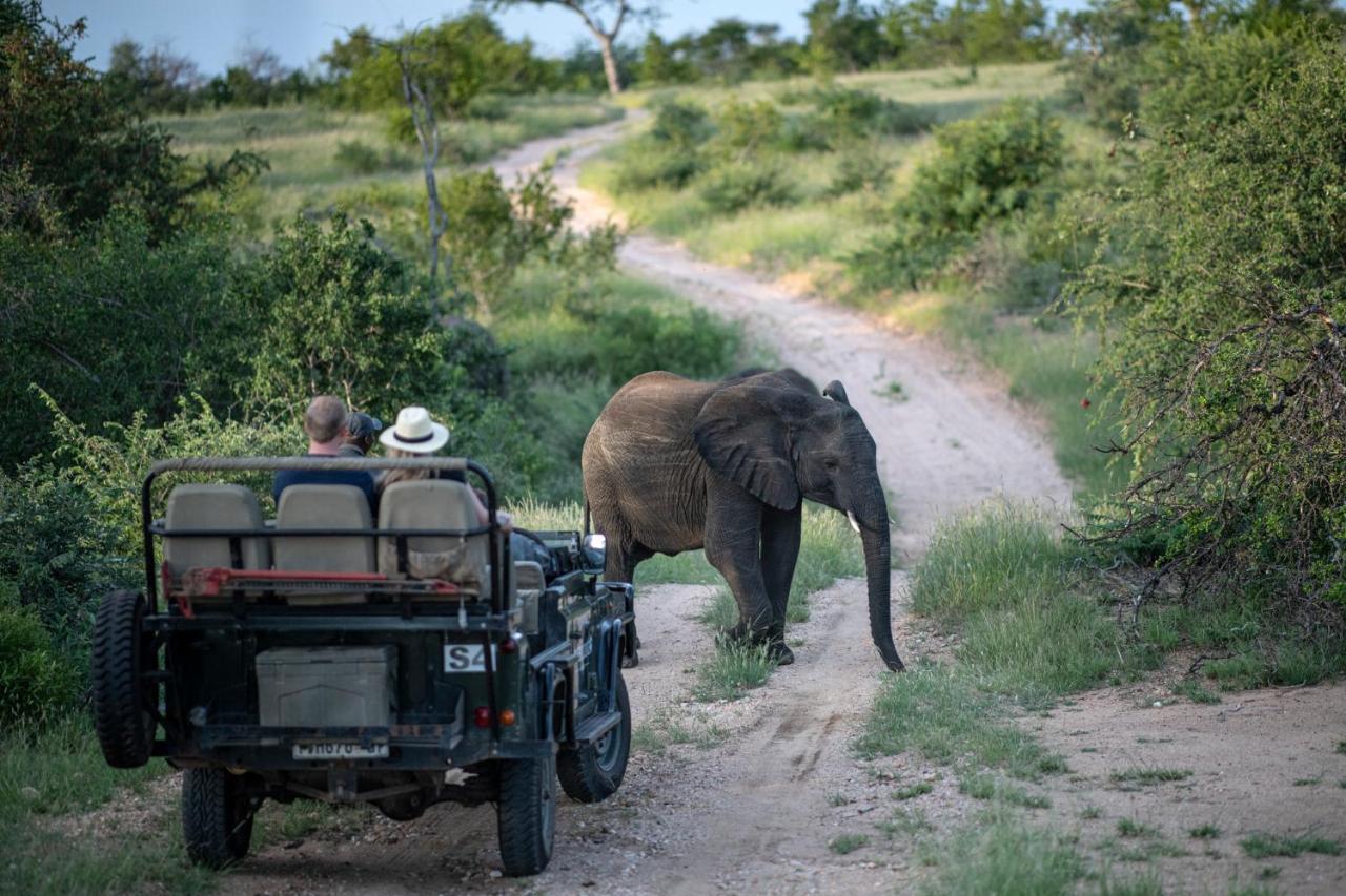Simbavati Hilltop Lodge Timbavati Game Reserve Eksteriør bilde